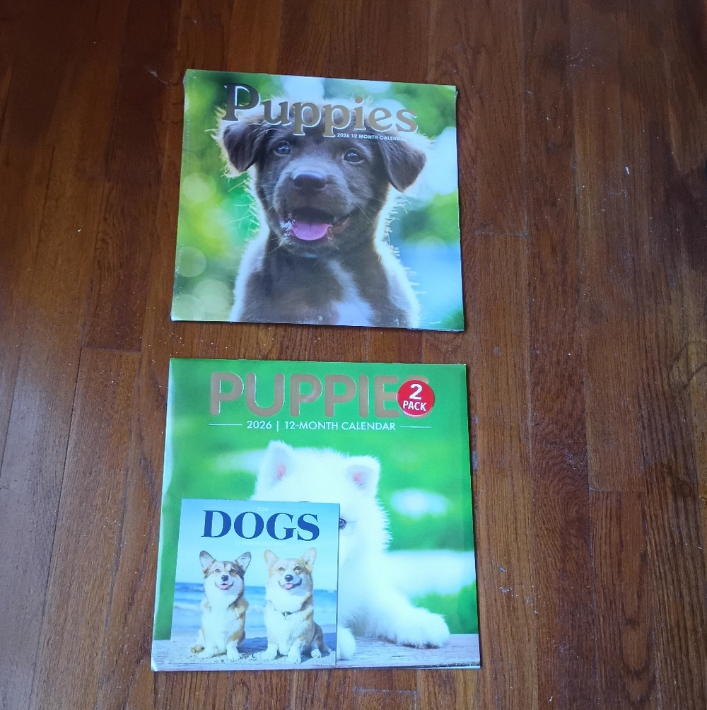 Puppies 2-Pack 2026 Wall Calendars